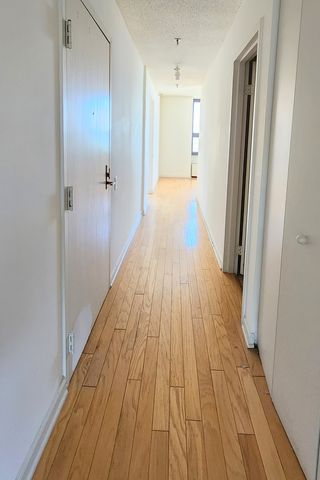 221 E Walton Place 17E, Chicago, IL 60611