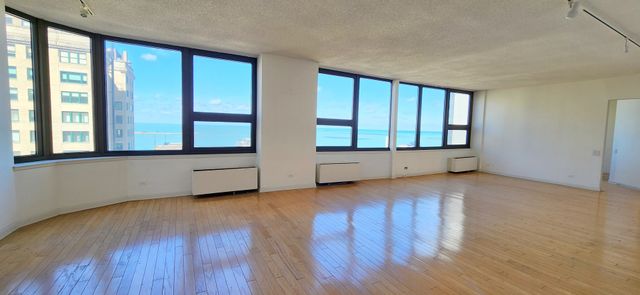 221 E Walton Place 17E, Chicago, IL 60611