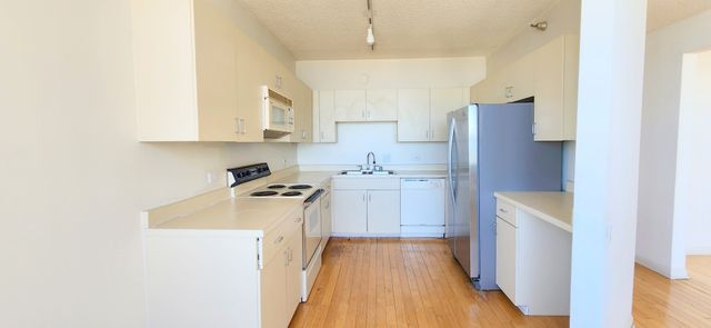 221 E Walton Place 17E, Chicago, IL 60611