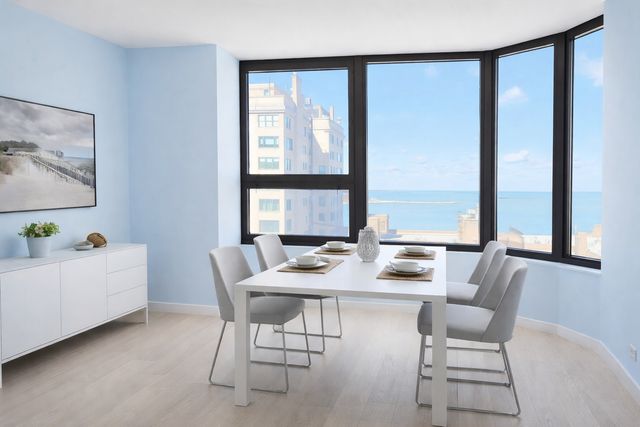 221 E Walton Place 17E, Chicago, IL 60611