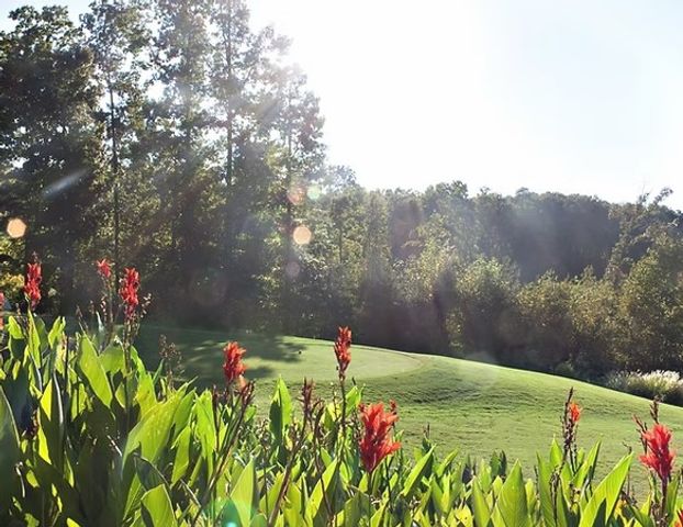 Lot 1125 Bunker Lane, Westminster, SC 29693