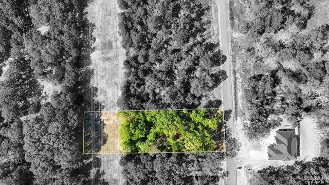 TBD PR 6305 LOT 62, Mineola, TX 75773