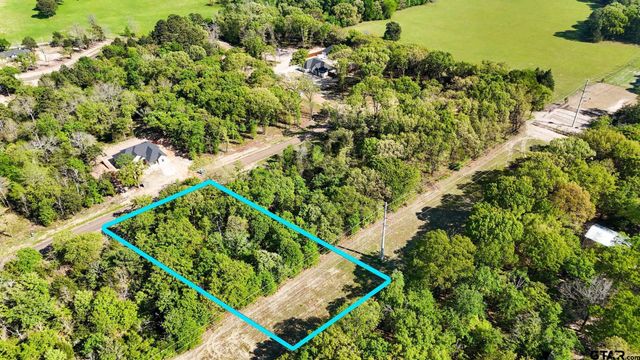 TBD PR 6305 LOT 62, Mineola, TX 75773