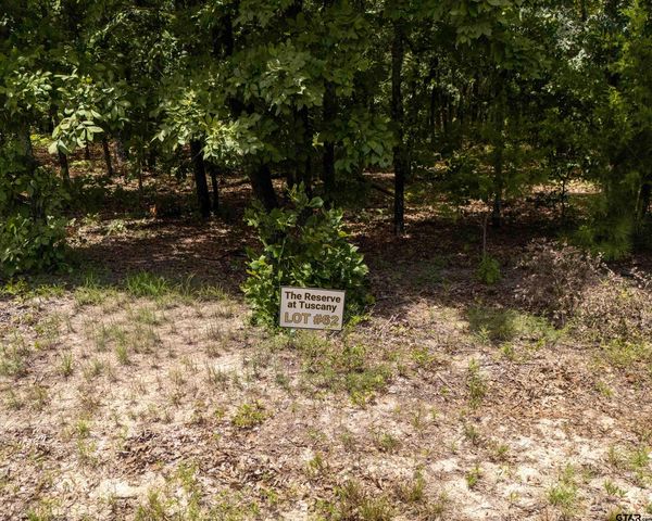 TBD PR 6305 LOT 62, Mineola, TX 75773