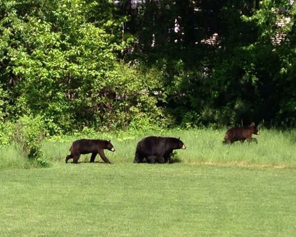 4 Wasserman Heights, Merrimack, NH 03054