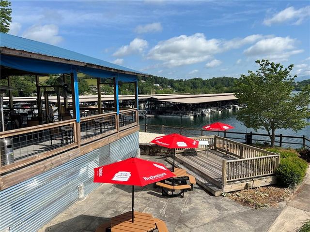 3243 Dogwood Lane, Hiawassee, GA 30546