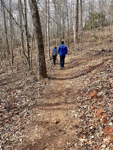 3243 Dogwood Lane, Hiawassee, GA 30546