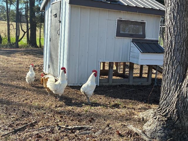 340 Hidden Pine Trail, Dayton, TN 37321