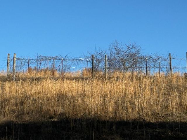 340 Hidden Pine Trail, Dayton, TN 37321