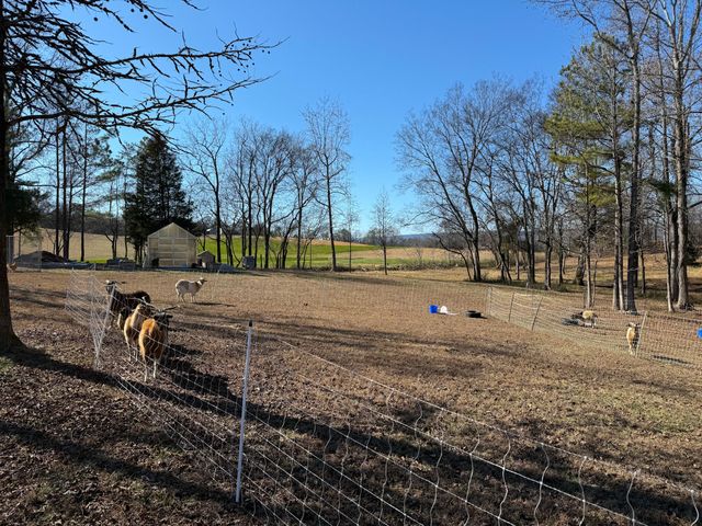 340 Hidden Pine Trail, Dayton, TN 37321