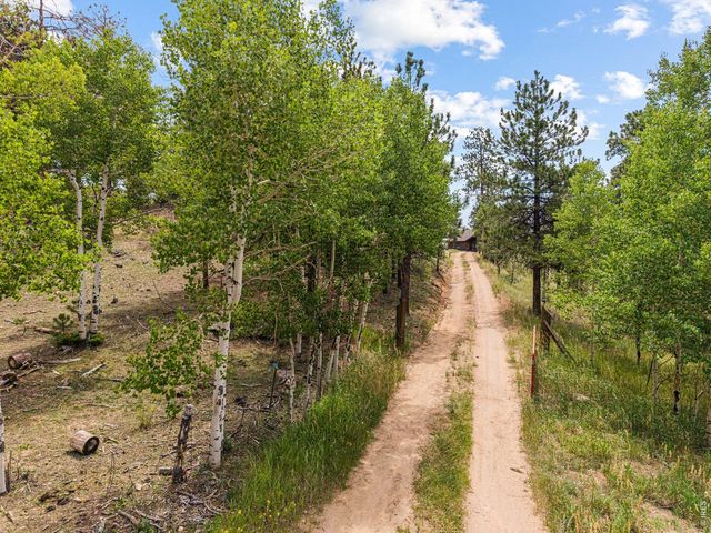 14534 S Wandcrest Dr, Pine, CO 80470