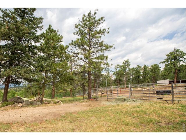 14534 S Wandcrest Dr, Pine, CO 80470