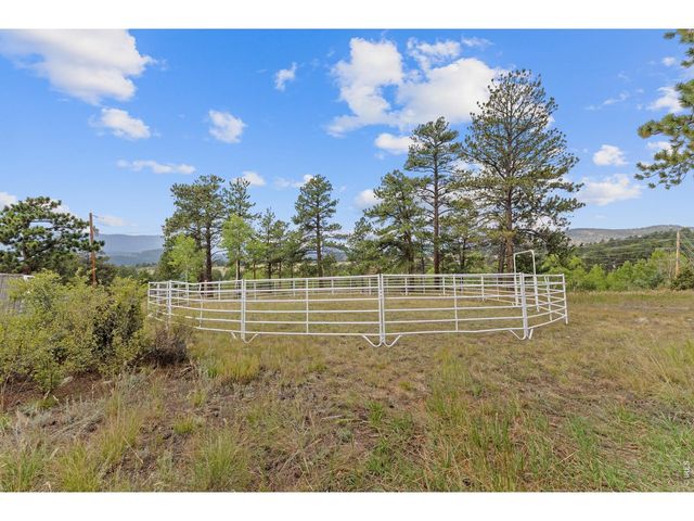 14534 S Wandcrest Dr, Pine, CO 80470