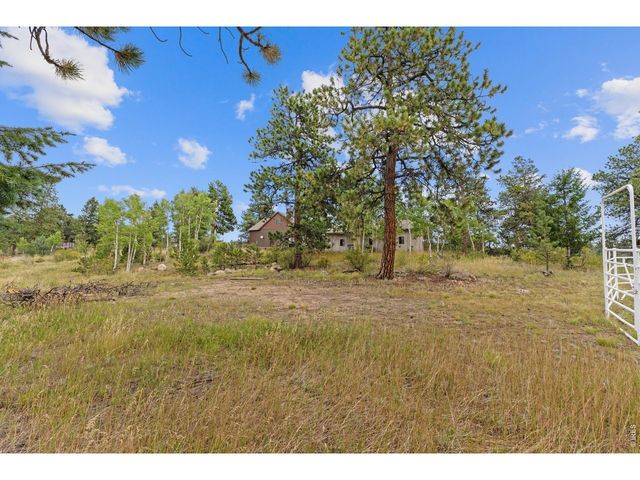 14534 S Wandcrest Dr, Pine, CO 80470