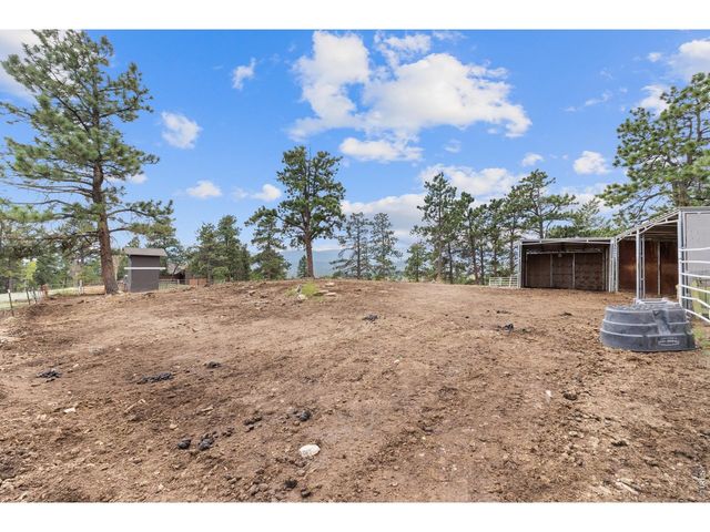 14534 S Wandcrest Dr, Pine, CO 80470