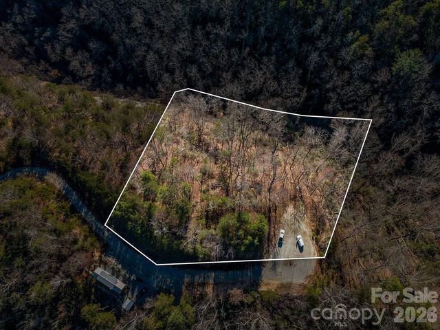 0 Laurel Branch Drive 20, Chimney Rock, NC 28720