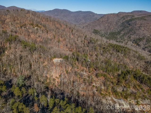 0 Laurel Branch Drive 20, Chimney Rock, NC 28720