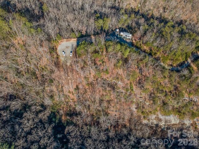 0 Laurel Branch Drive 20, Chimney Rock, NC 28720