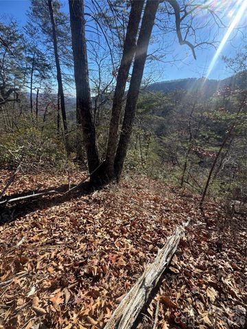 0 Laurel Branch Drive 20, Chimney Rock, NC 28720