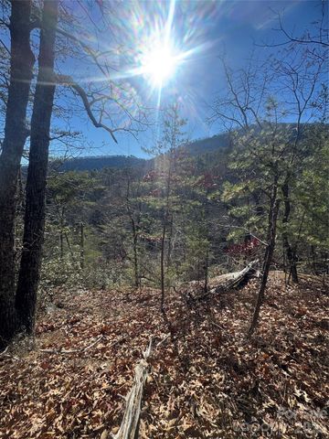 0 Laurel Branch Drive 20, Chimney Rock, NC 28720