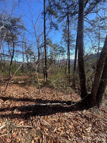 0 Laurel Branch Drive 20, Chimney Rock, NC 28720