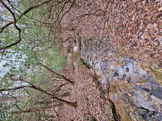 0 Talc Mine Road, Jasper, GA 30143