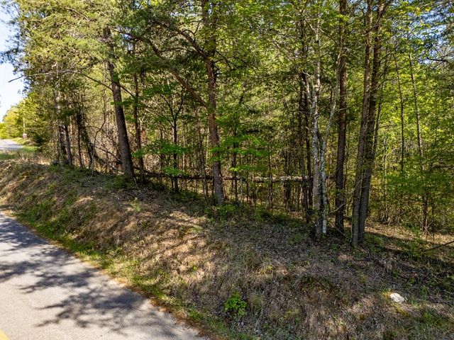 0 Talc Mine Road, Jasper, GA 30143