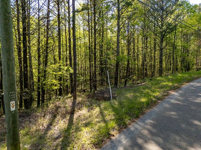 0 Talc Mine Road, Jasper, GA 30143