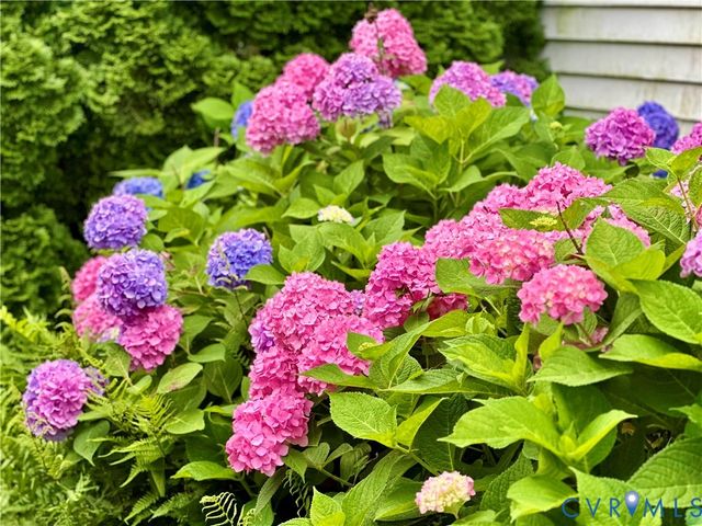 7600 Alvarado Rd, Henrico, VA 23229