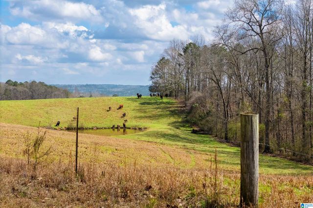 1797 COUNTY ROAD 15, Wadley, AL 36276