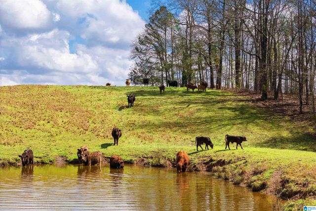 1797 COUNTY ROAD 15, Wadley, AL 36276