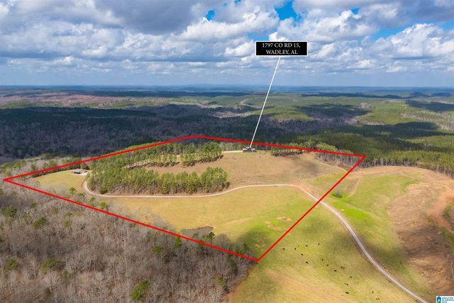 1797 COUNTY ROAD 15, Wadley, AL 36276