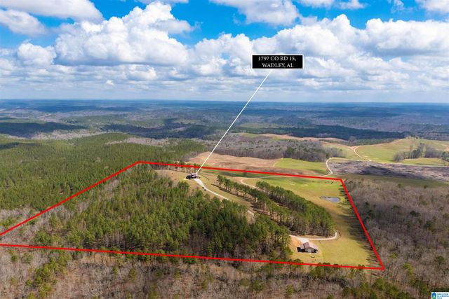 1797 COUNTY ROAD 15, Wadley, AL 36276