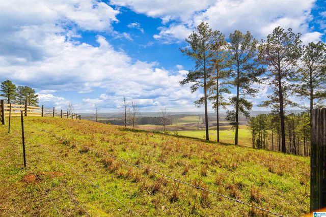 1797 COUNTY ROAD 15, Wadley, AL 36276