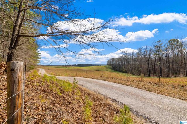 1797 COUNTY ROAD 15, Wadley, AL 36276