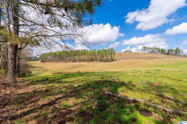 1797 COUNTY ROAD 15, Wadley, AL 36276