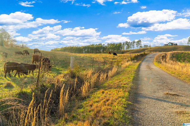 1797 COUNTY ROAD 15, Wadley, AL 36276