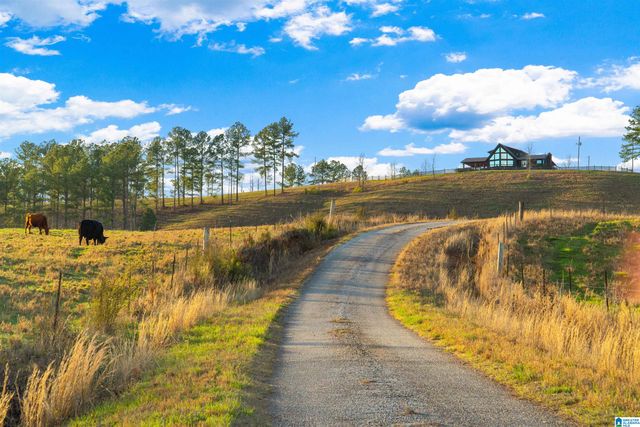 1797 COUNTY ROAD 15, Wadley, AL 36276