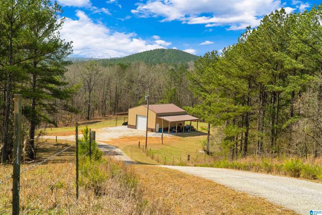 1797 COUNTY ROAD 15, Wadley, AL 36276