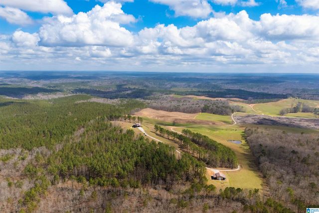 1797 COUNTY ROAD 15, Wadley, AL 36276