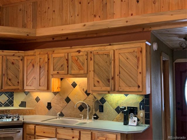 110 Wallace Drive, Florissant, CO 80816