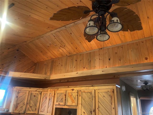 110 Wallace Drive, Florissant, CO 80816