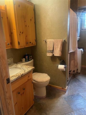 110 Wallace Drive, Florissant, CO 80816