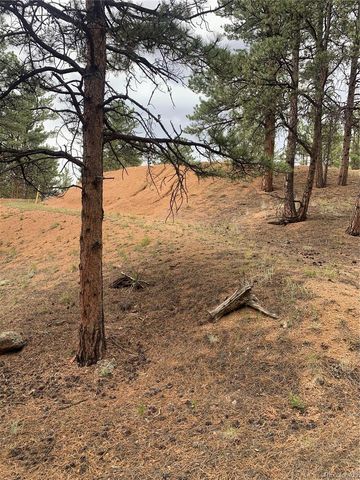 110 Wallace Drive, Florissant, CO 80816