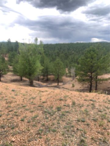 110 Wallace Drive, Florissant, CO 80816