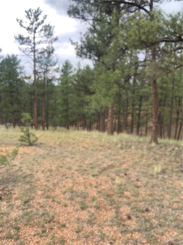 110 Wallace Drive, Florissant, CO 80816