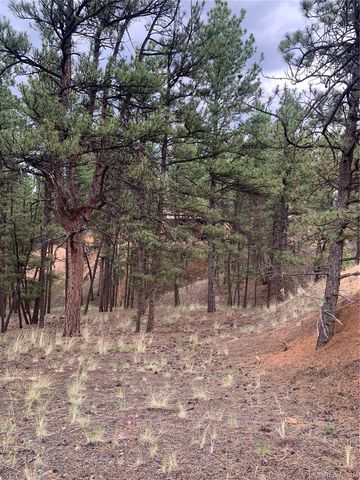 110 Wallace Drive, Florissant, CO 80816