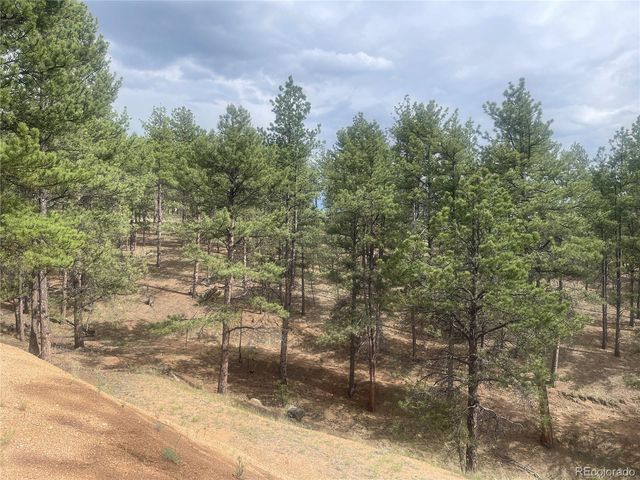 110 Wallace Drive, Florissant, CO 80816