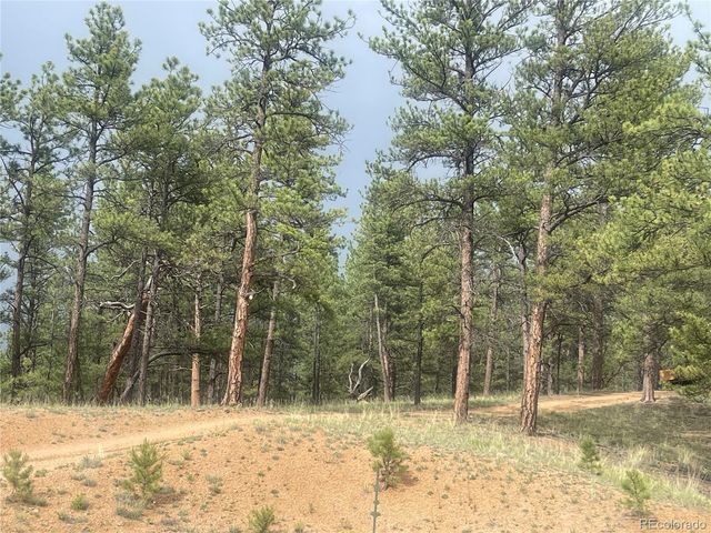 110 Wallace Drive, Florissant, CO 80816