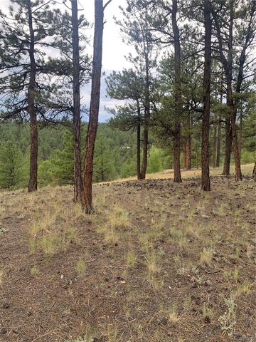 110 Wallace Drive, Florissant, CO 80816